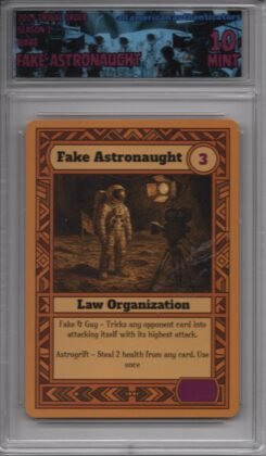 Fake Astronaught