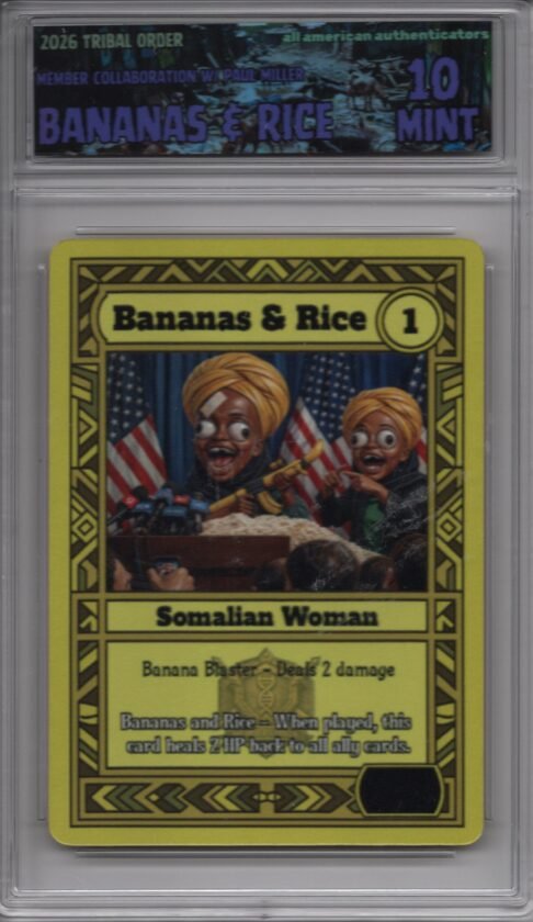 Bananas And Rice front