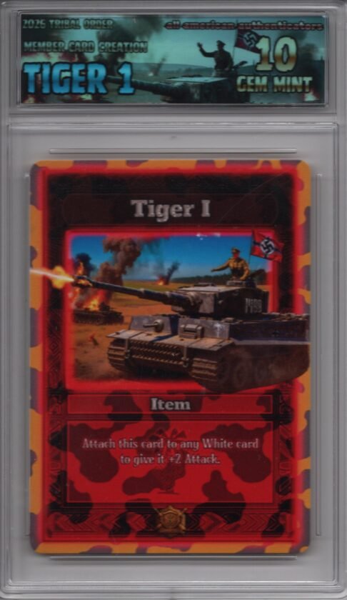 2026 Tiger 1